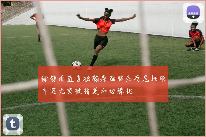 徐静雨直言杨瀚森面临生存危机明年若无突破将更加边缘化